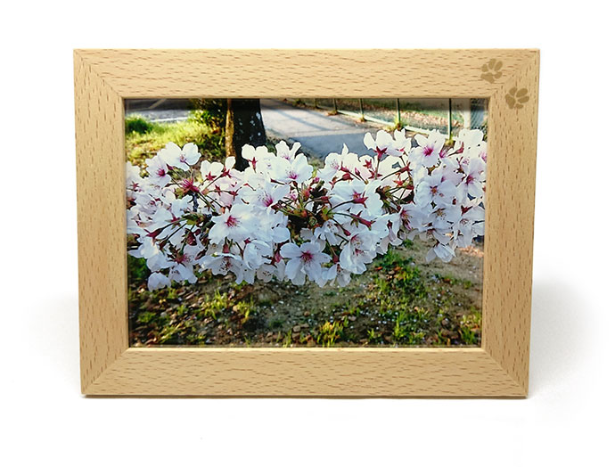 SayWoodwork（セイウッドワーク）肉球フォトスタンド（ブナ）