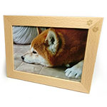 肉球フォトスタンド（ブナ）