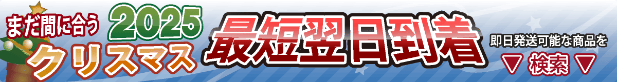 2025クリスマス おもちゃ即日発送検索
